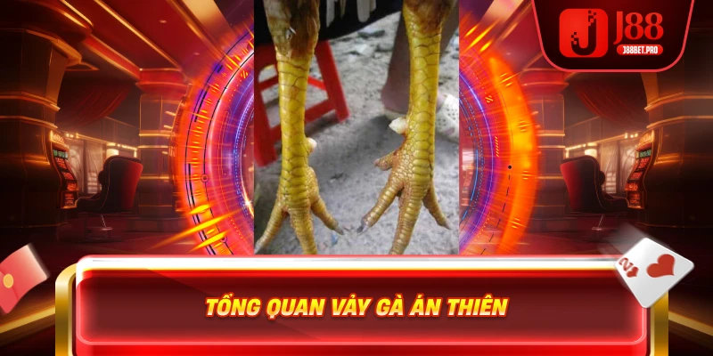 Tổng quan vảy gà Án Thiên